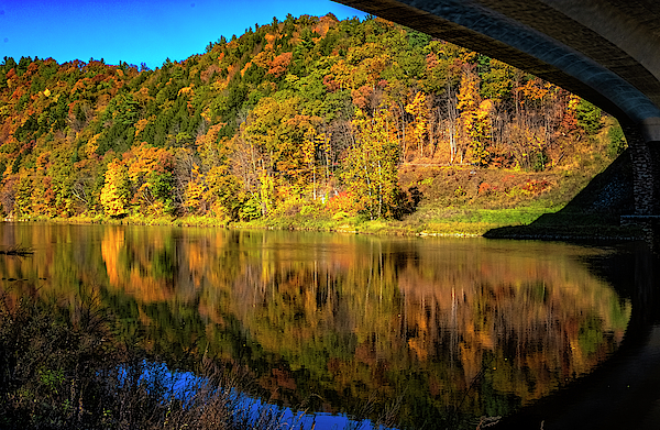 Foliage Under The Bridge by Tom Singleton Foliage Under The Bridge by Tom Singleton
