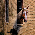 Charleston Horse Mural